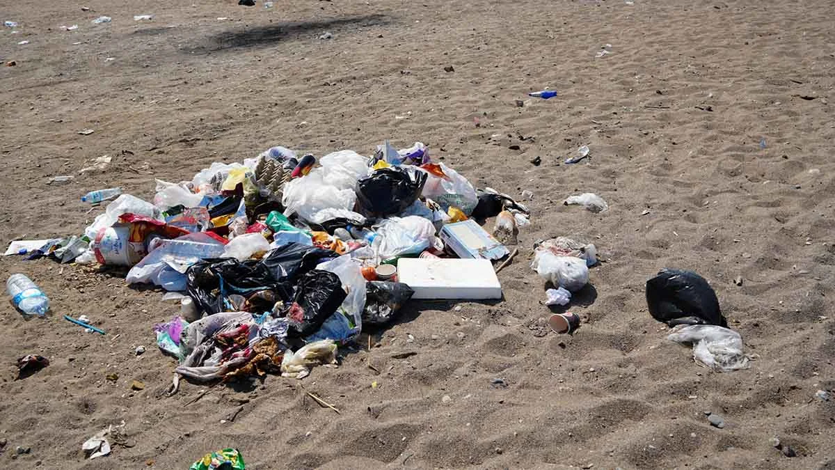 Çardaklardan arınan Kumköy sahili şimdi de çöplerle boğuşuyor