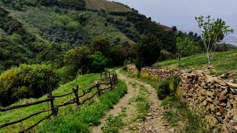 Efeler Yolu, Green Destinations’ın 'En İyi 100 Hikâye' listesinde