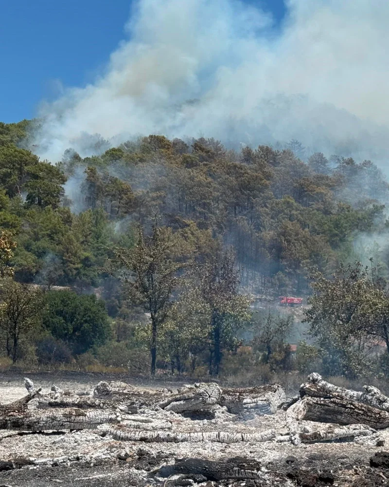 Göcek’te orman yangını 14 helikopter 5 yangın söndürme uçağı müdahale ediyor