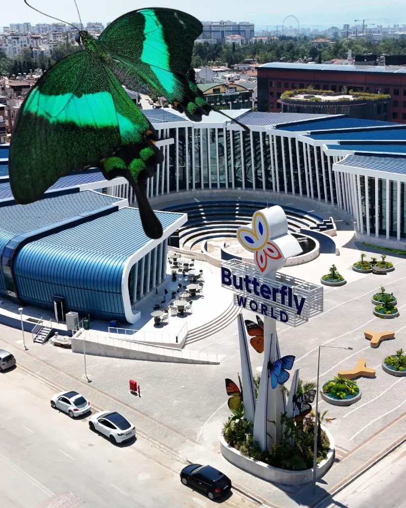 Dünyanın dört bir yanından gelen binlerce kelebek, Butterfly World Antalya’da
