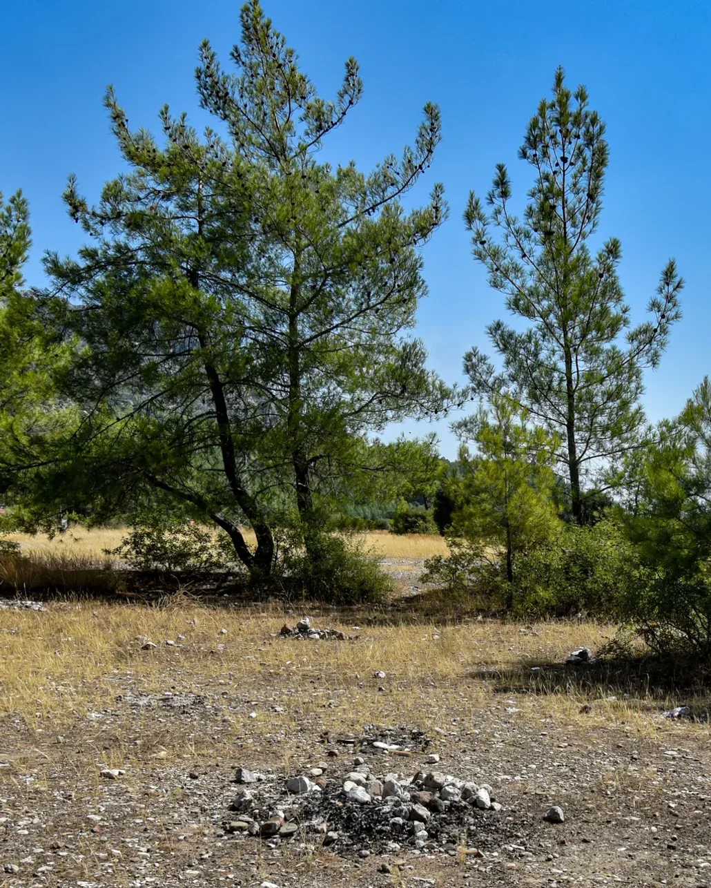 Antalya’da yasağa rağmen ormanda mangal duyarsızlığı
