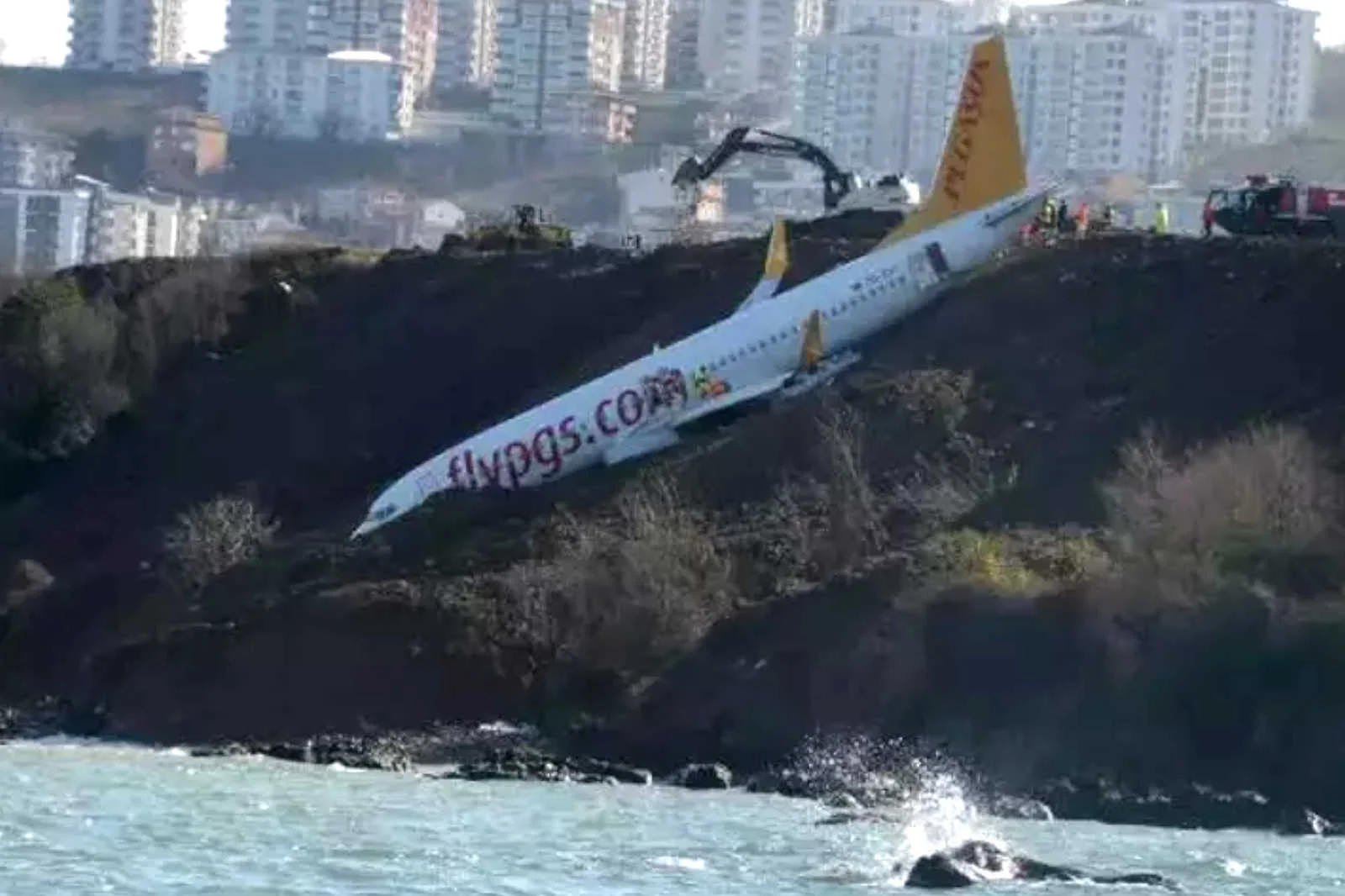 Pide salonu olan uçağın pilotları için hapis ve meslekten men istendi