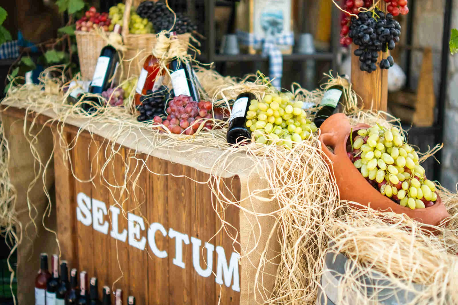 Selectum Hotels Şarap Festivali, şarap tutkunlarını bir araya getirdi