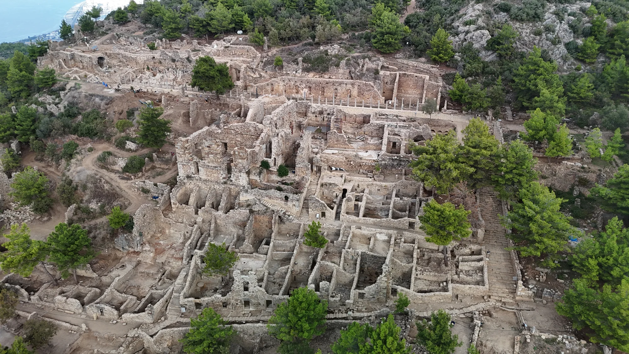 Syedra1