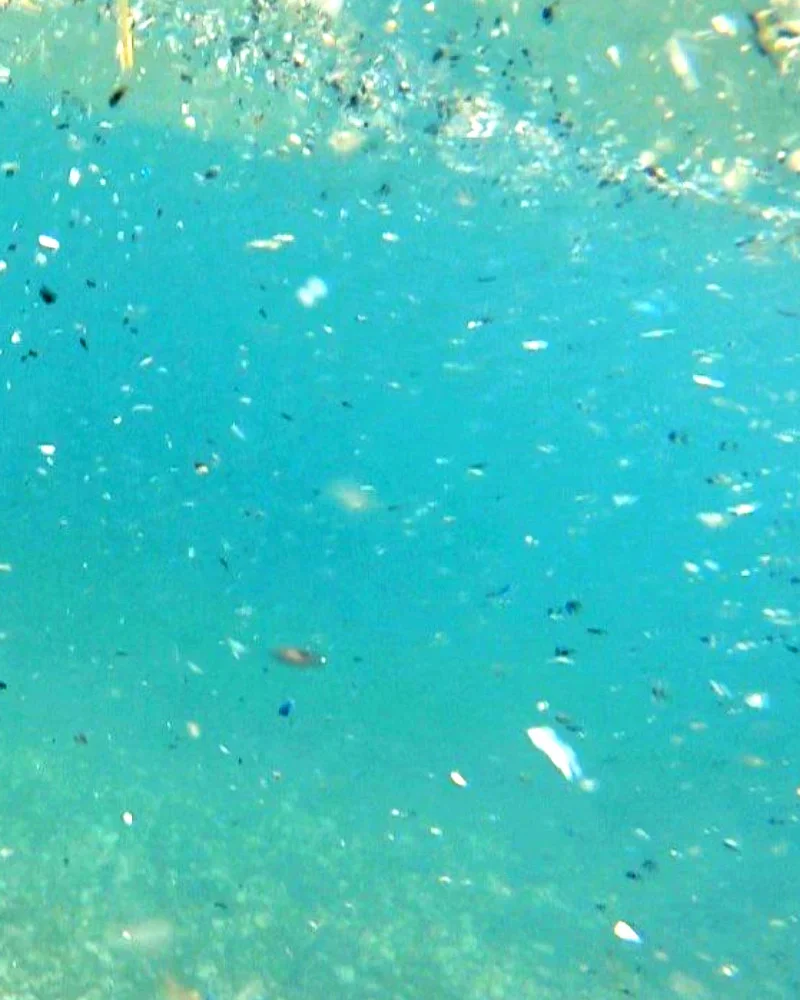Akdeniz’de mikroplastik tehdidi: Denetimlerde 47 milyon TL ceza kesildi