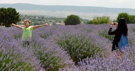 Isparta, lavanta turizmi ile Fransa’ya rakip oldu