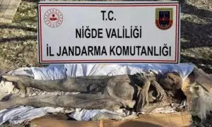 Niğde'de Orta Çağ'a ait mumyayı satmaya çalışırken yakalandılar
