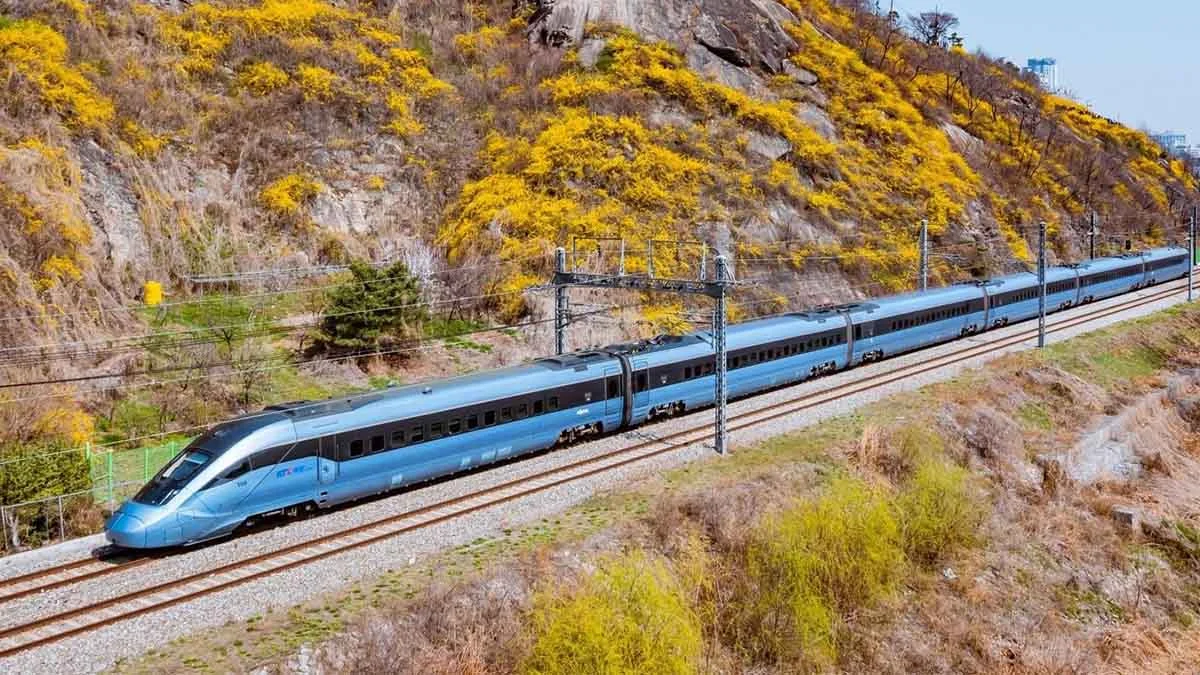 Tren raydan çıktı: 2 ölü, 4 yaralı