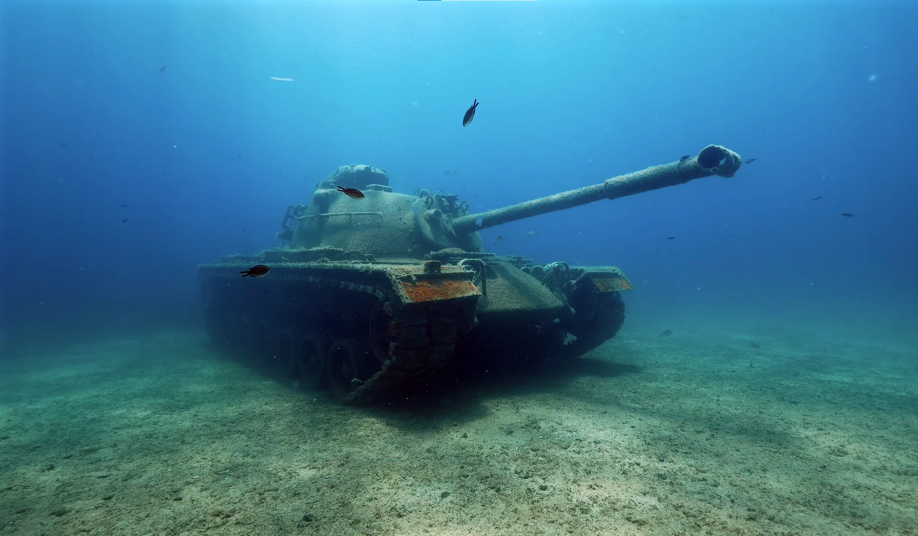 Turizmi geliştirmek amacıyla batırılan tank, dalış tutkunlarının gözdesi oldu