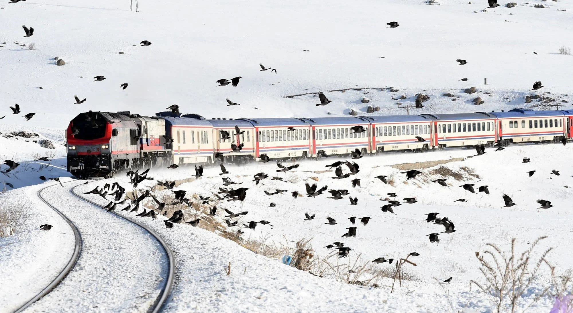 Turistik Doğu Ekspresi ile yaklaşık 12 bin yolcu seyahat etti