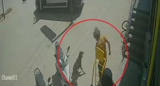 Antalya'da kediyi ezip köpeğe tekme atan Rus, sınırdışı edildi