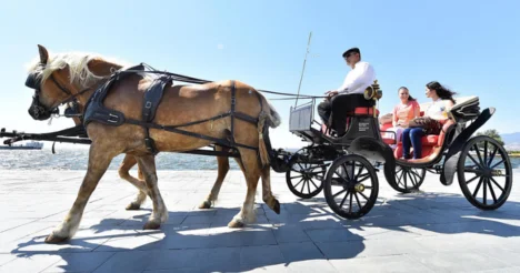 İzmir'de fayton taşımacılığı yasaklandı