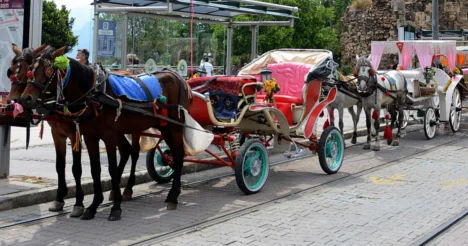 Antalya'da faytonlar trafikten men edilecek