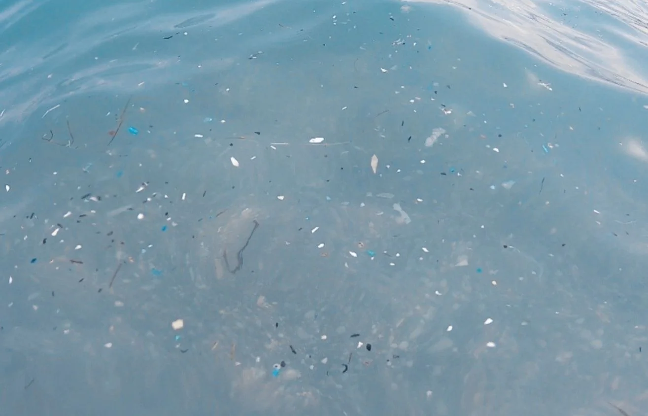 Antalya'daki mikroplastik tehdidi TBMM'de