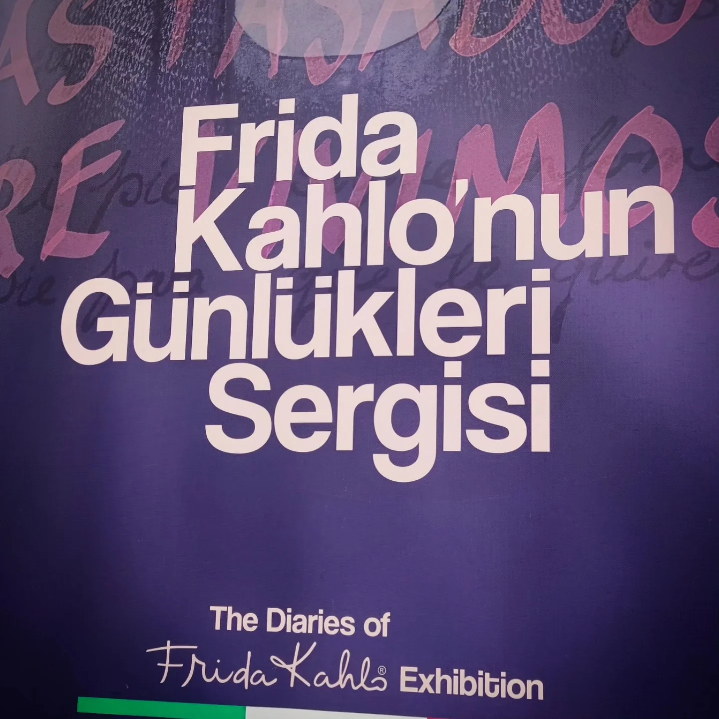 Frida Kahlo’nun günlüklerinde yolculuk