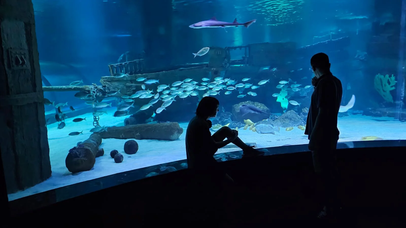 Antalya Aquarium, Antalya’yı yazın ortasında kar destinasyonu haline getirdi