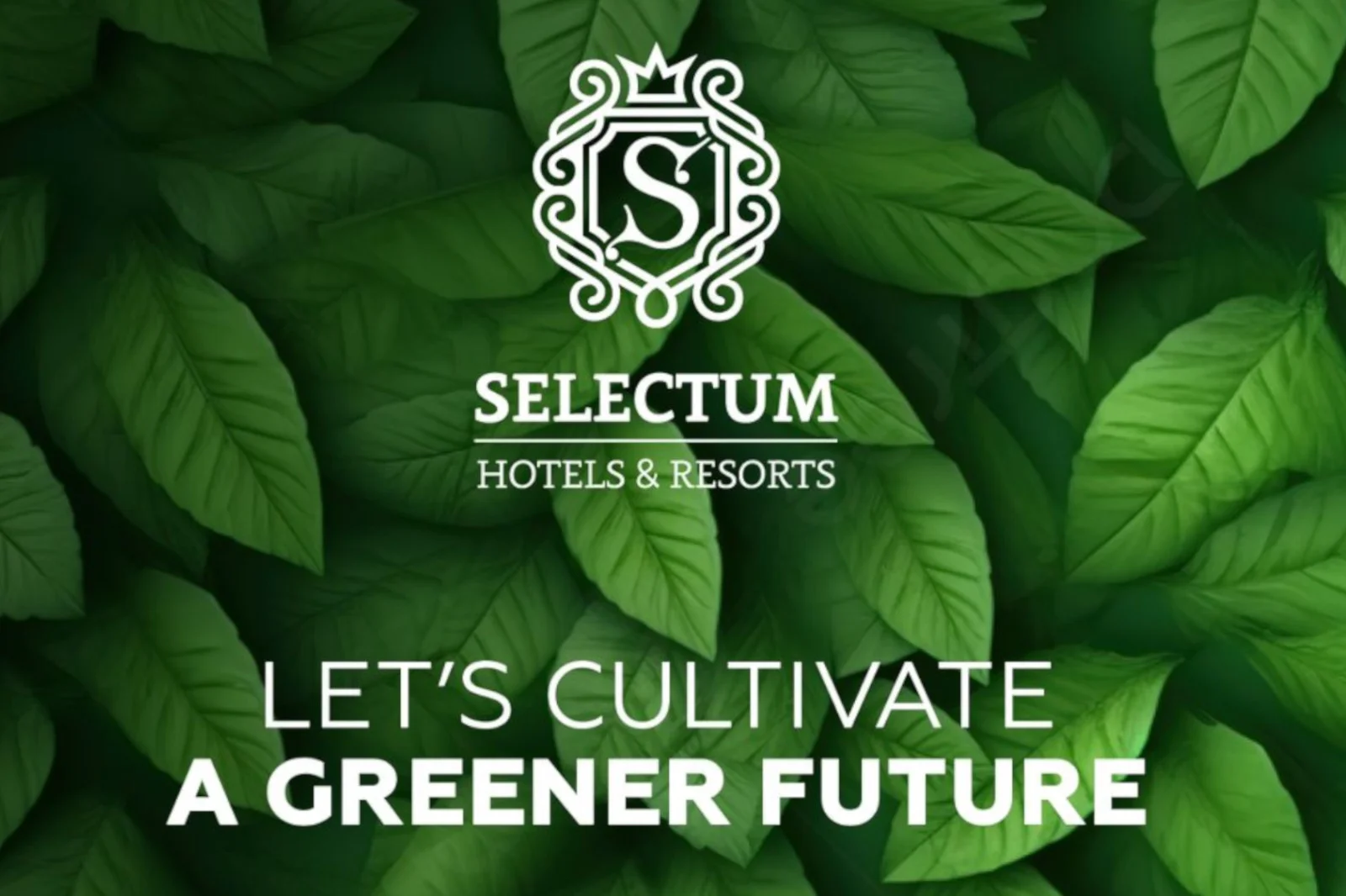 Selectum Hotels, 10 bin fidan ile orman oluşturdu