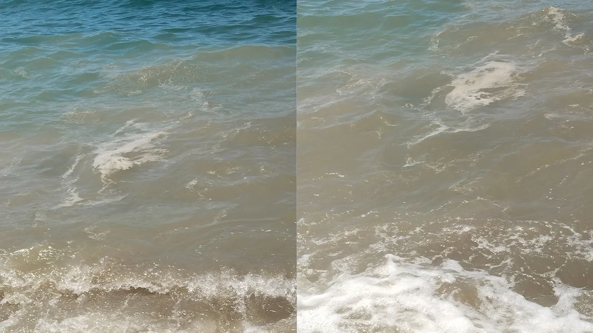 Bodrum'da deniz kirliliği ile ilgili başsavcılık soruşturma başlattı