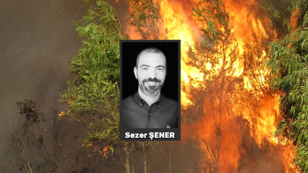Orman yangınları provokasyon mu?