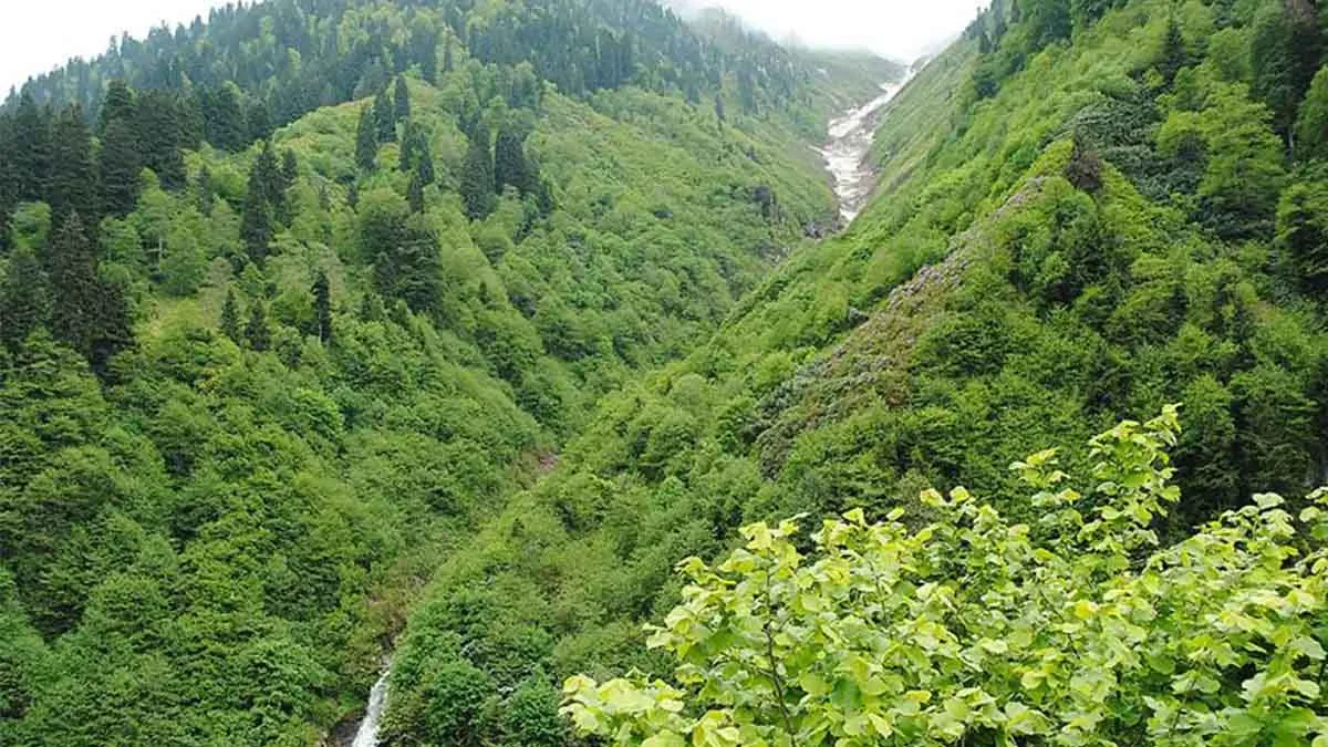 Ormanlar turizm amacıyla tahsis edilebilecek