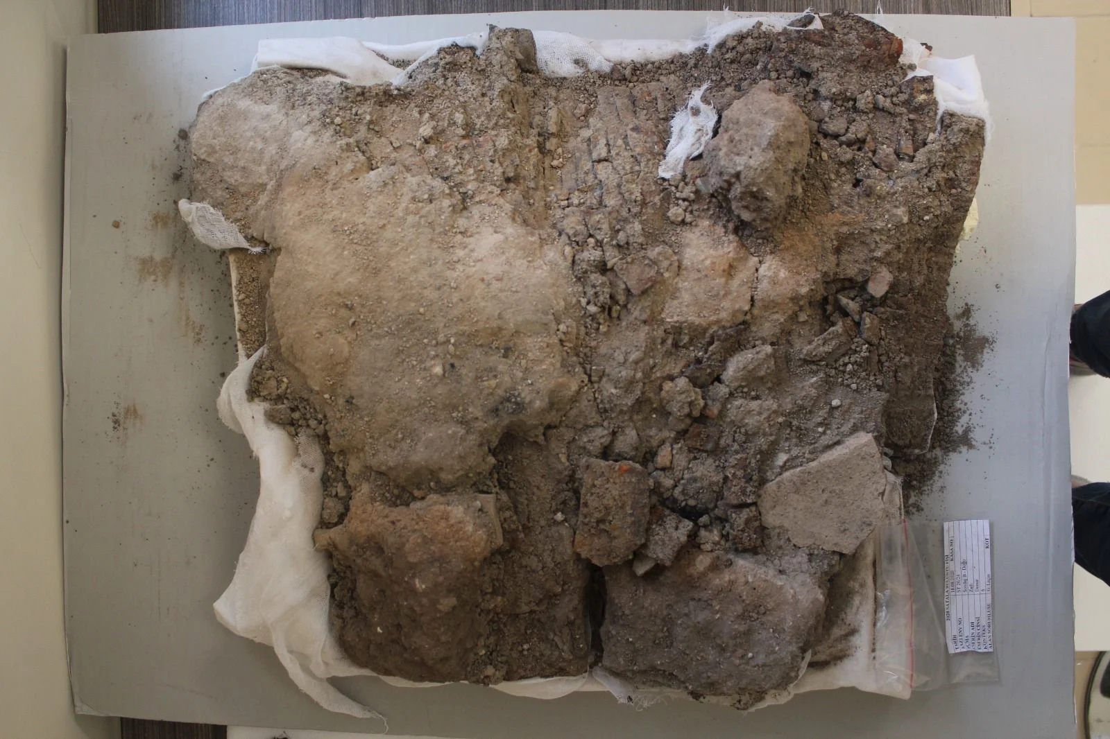 Dünyada tek örneği Türkiye'de