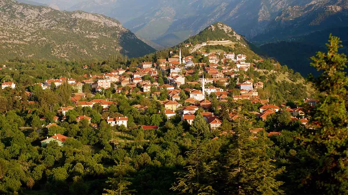 Planda görülmeyen tarihi düğmeli evler yıkılacak