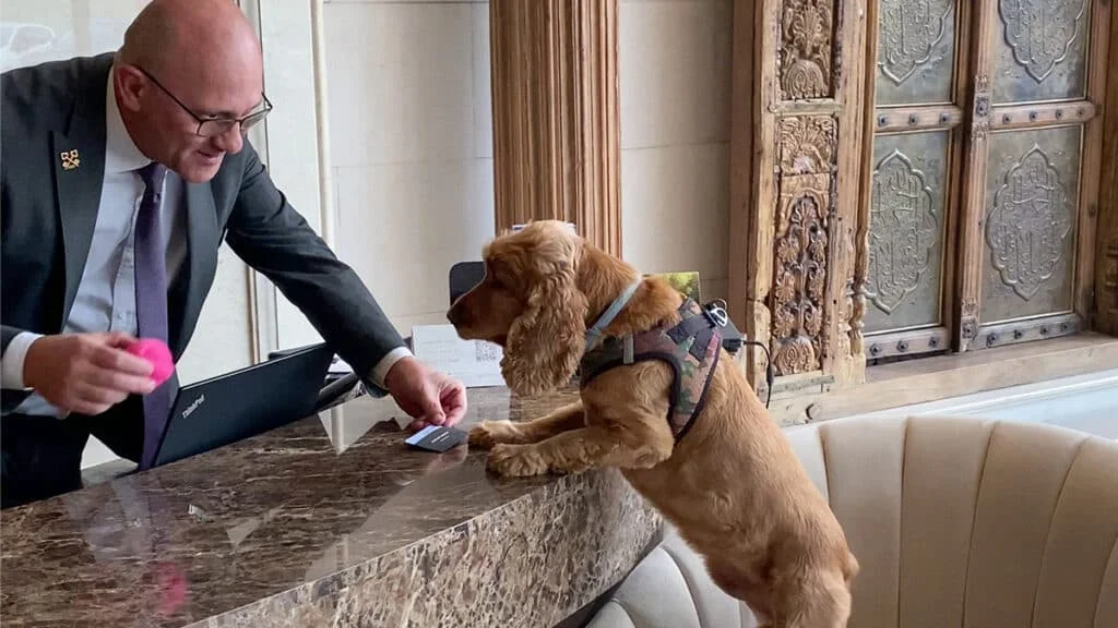 The Ritz-Carlton, Istanbul’dan patili dostlar için özel odalar