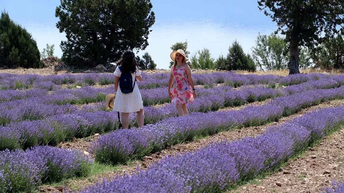 Tatil tercihinde yeni trend: Tarım Turizmi