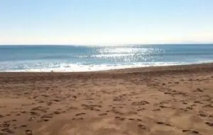 Antalya'nın Lara sahilindeki 156 dönümlük arazi kiraya verildi