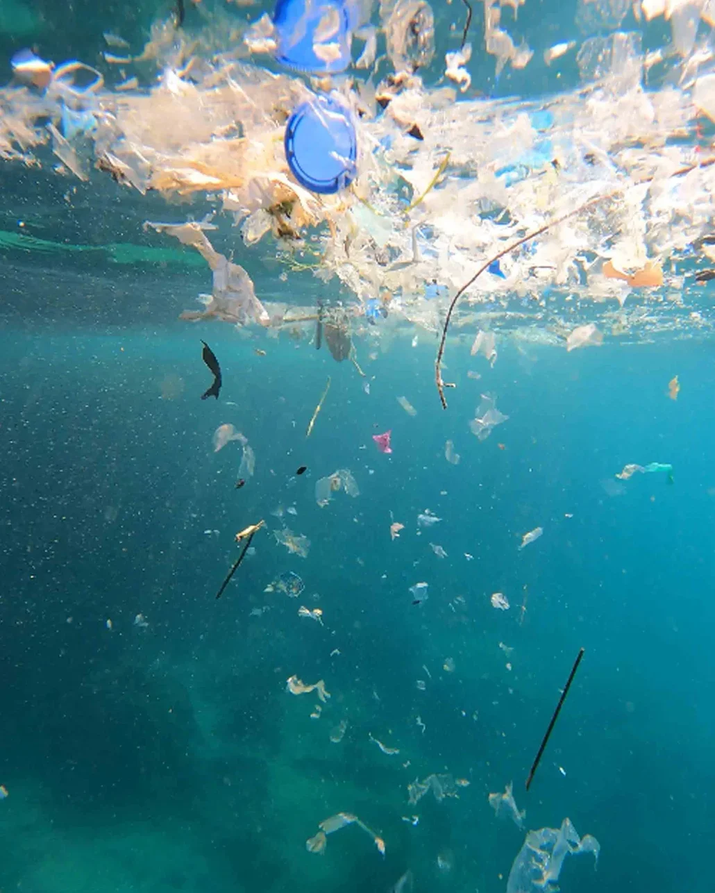 “Akdeniz'deki mikroplastik sorunu çözülmezse turizm sekteye uğrar”