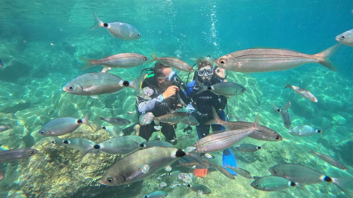 Marmaris'te dalış turizmine ilgi artıyor