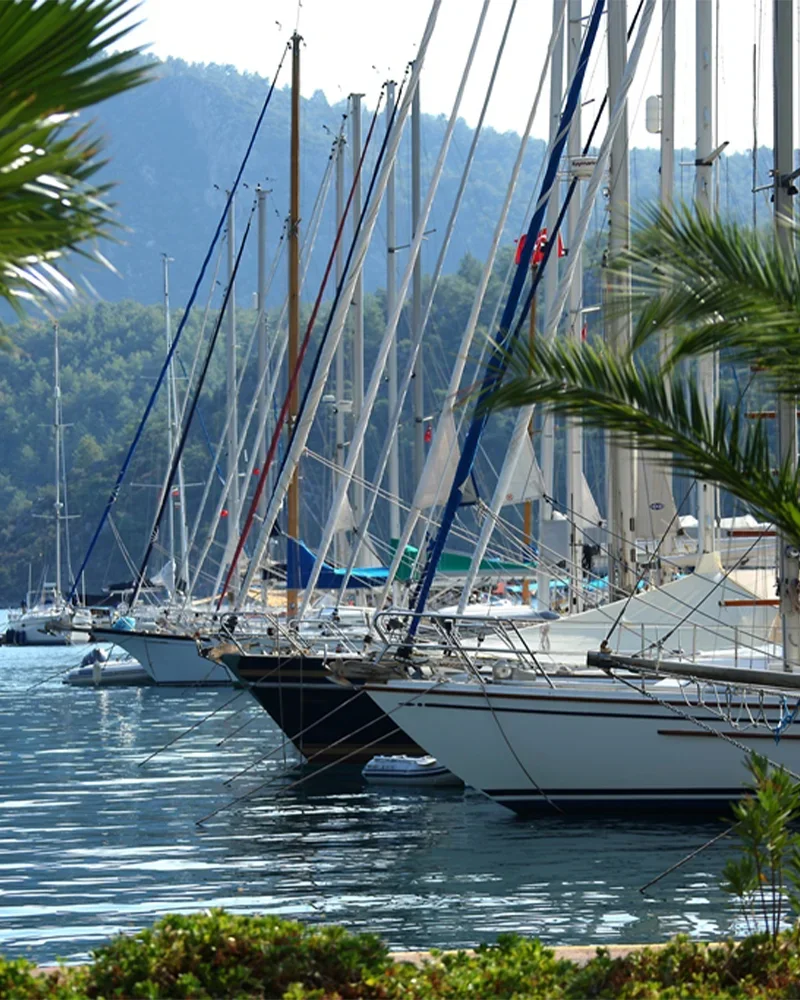 Martı Marina & Yacht Club, 30. yılını yeni bir başlangıçla kutluyor