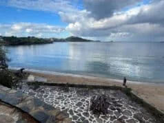 Turizm Bakanlığı, Bodrum’da işgal edilen sahili halk plajı yapacak