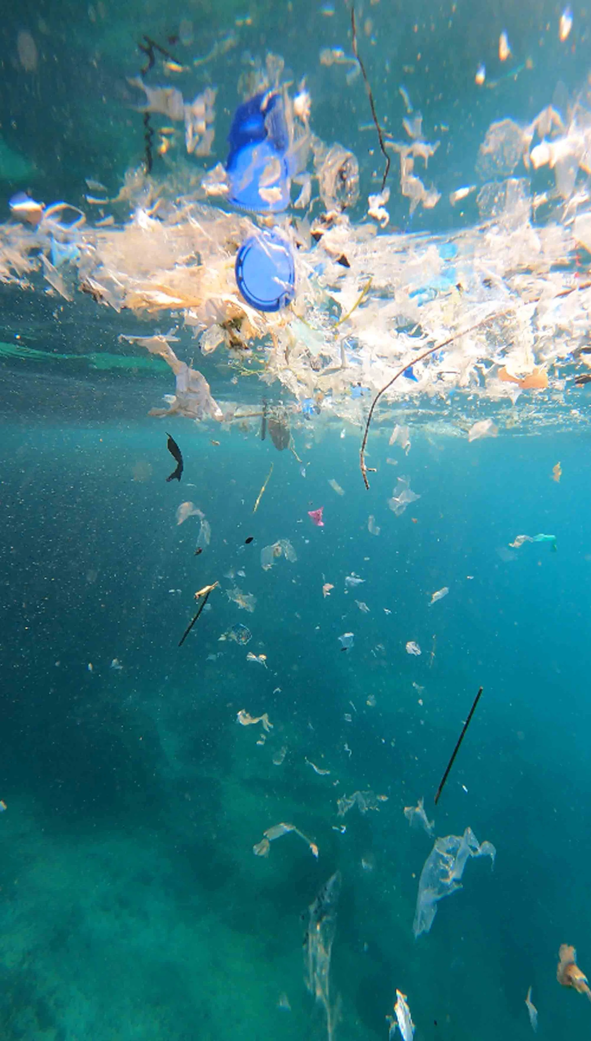 “Akdeniz'deki mikroplastik sorunu çözülmezse turizm sekteye uğrar”