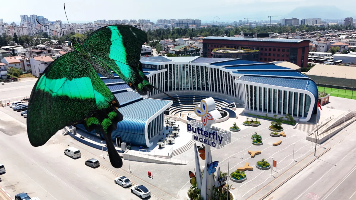Dünyanın dört bir yanından gelen binlerce kelebek, Butterfly World Antalya’da