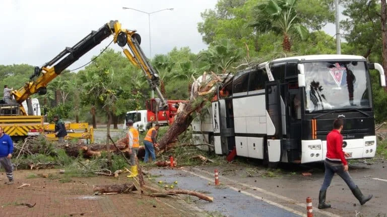 Antalya’da fırtınanın söktüğü ağaç, otel personel servisinin üzerine devrildi: 7 yaralı