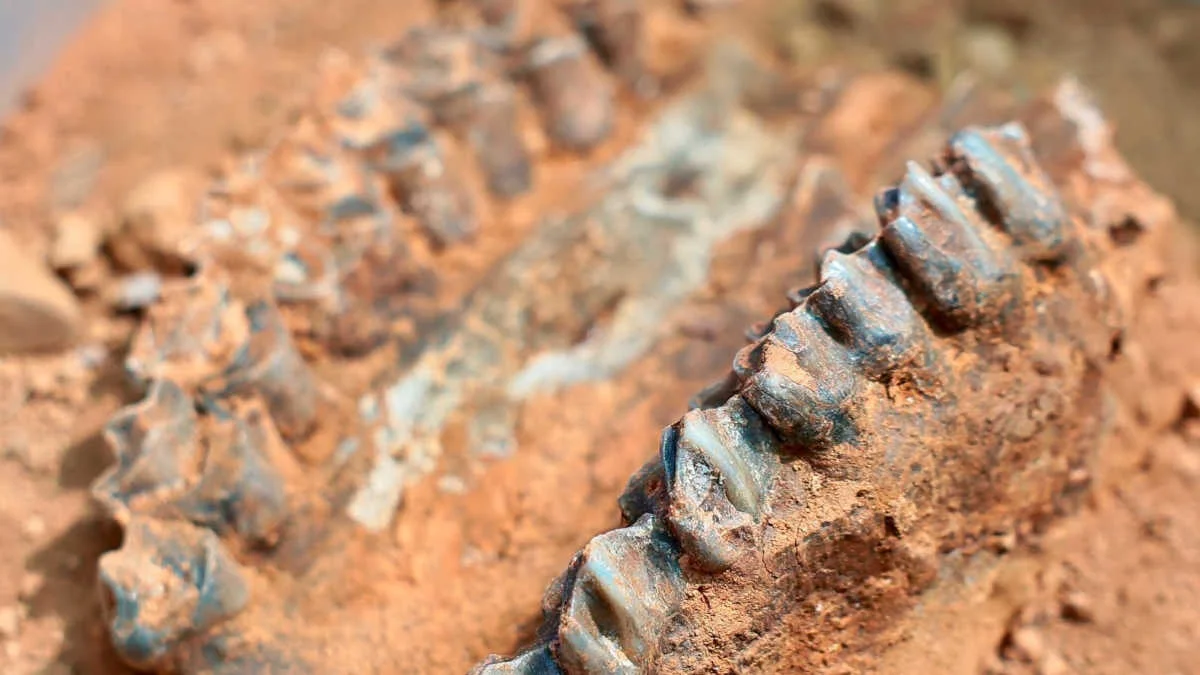 Anadolu şaşırtmaya devam ediyor; 7 milyon yıllık miras