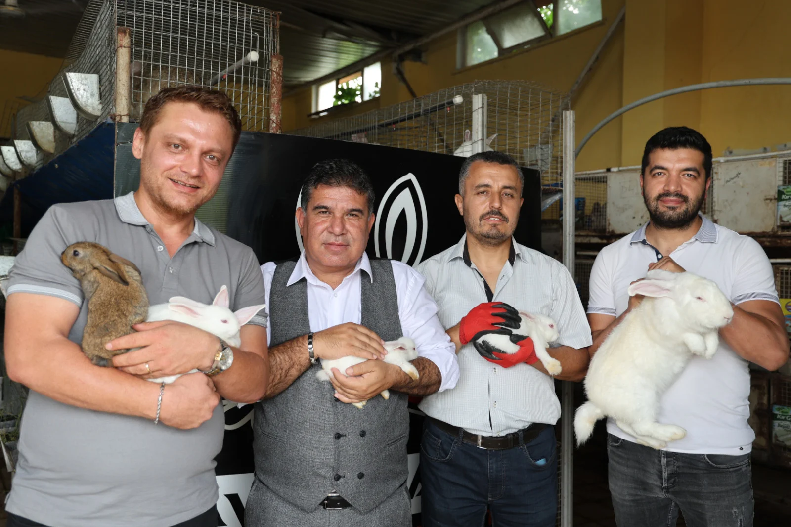 Öğretmenliği bırakıp tavşan üreticiliğine başladı, oteller yoğun talep gösteriyor