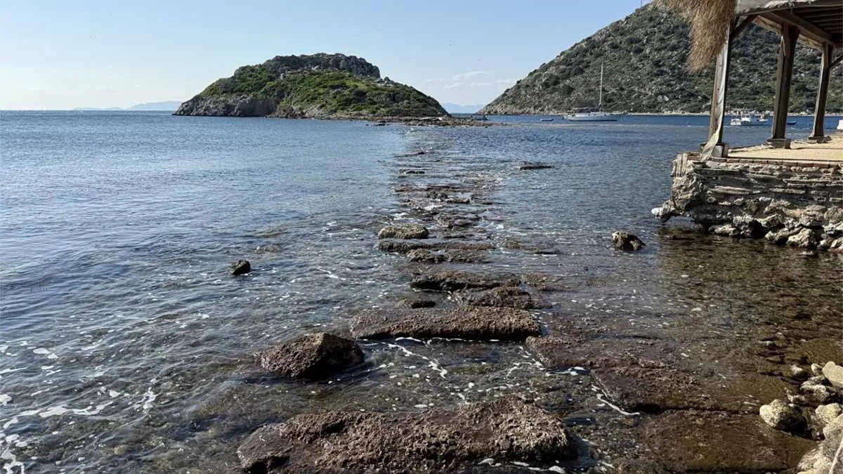 Bodrum'da deniz çekildi, 3.500 yıllık tarihi “Kral Yolu” ortaya çıktı