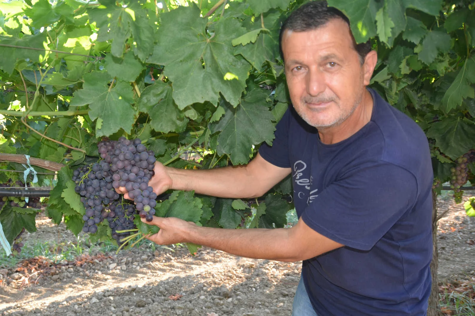 Pandemi’de Antalya’daki köyüne döndü, şimdi ürünlerini otellere satıyor