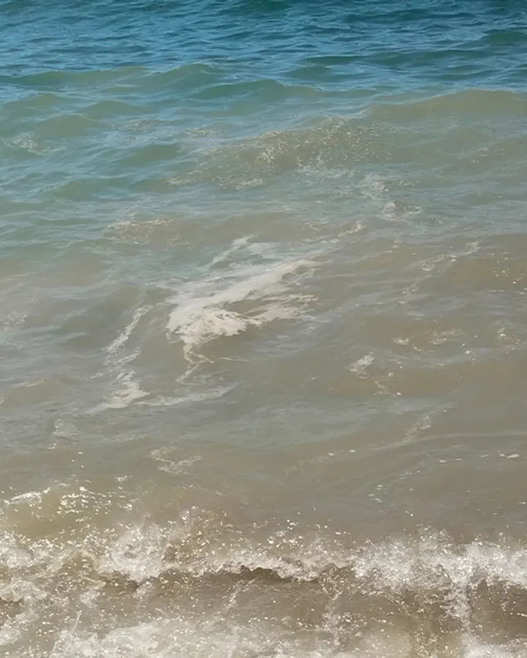 Bodrum'da deniz kirliliği ile ilgili başsavcılık soruşturma başlattı