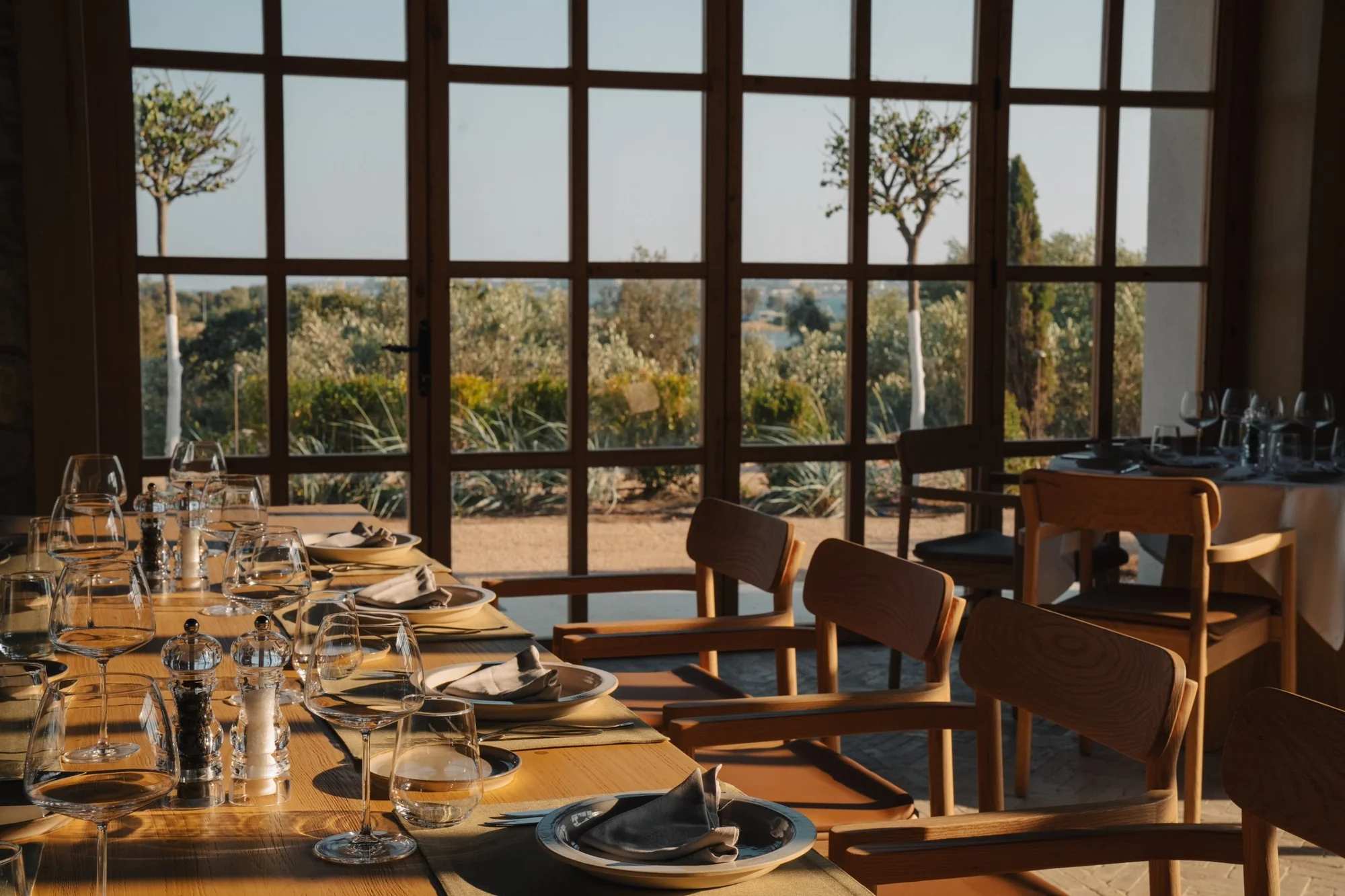 Zeytin'lik (02)