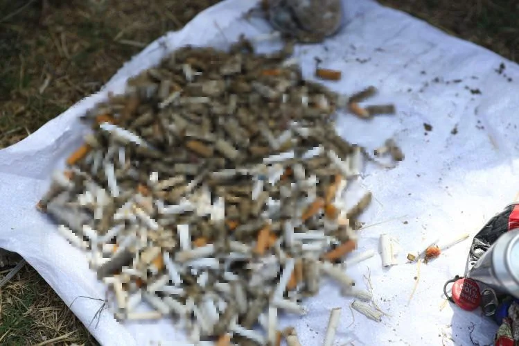 Sahile plastik toplamak için gittiler, binlerce izmarit ayıkladılar