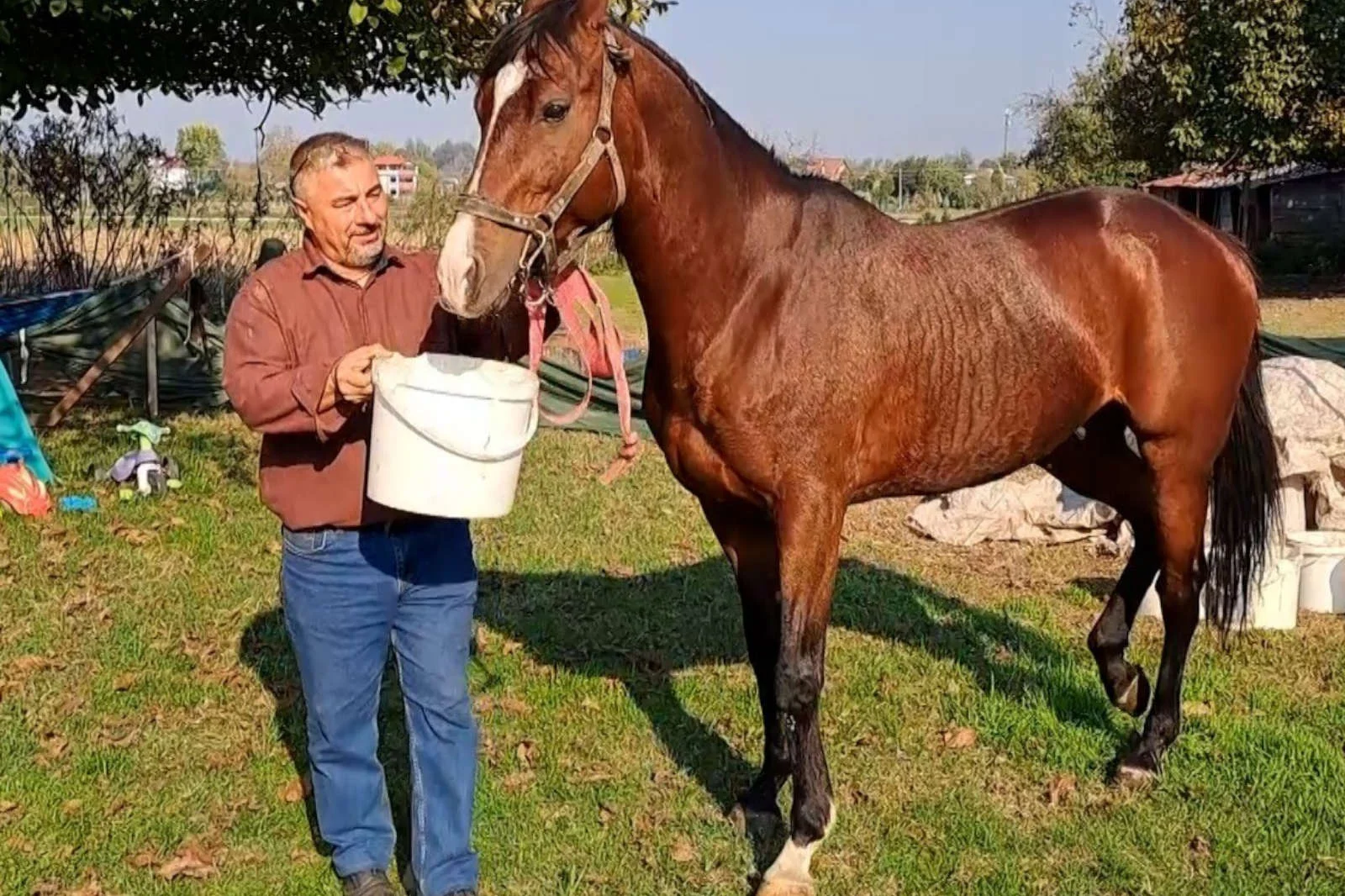 Gittikleri tatil, hayatlarını değiştirdi
