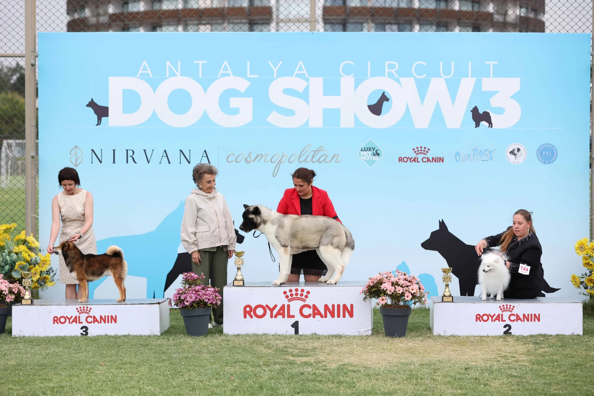 Nirvana Cosmopolitan, köpek dostlarını bir araya getirdi