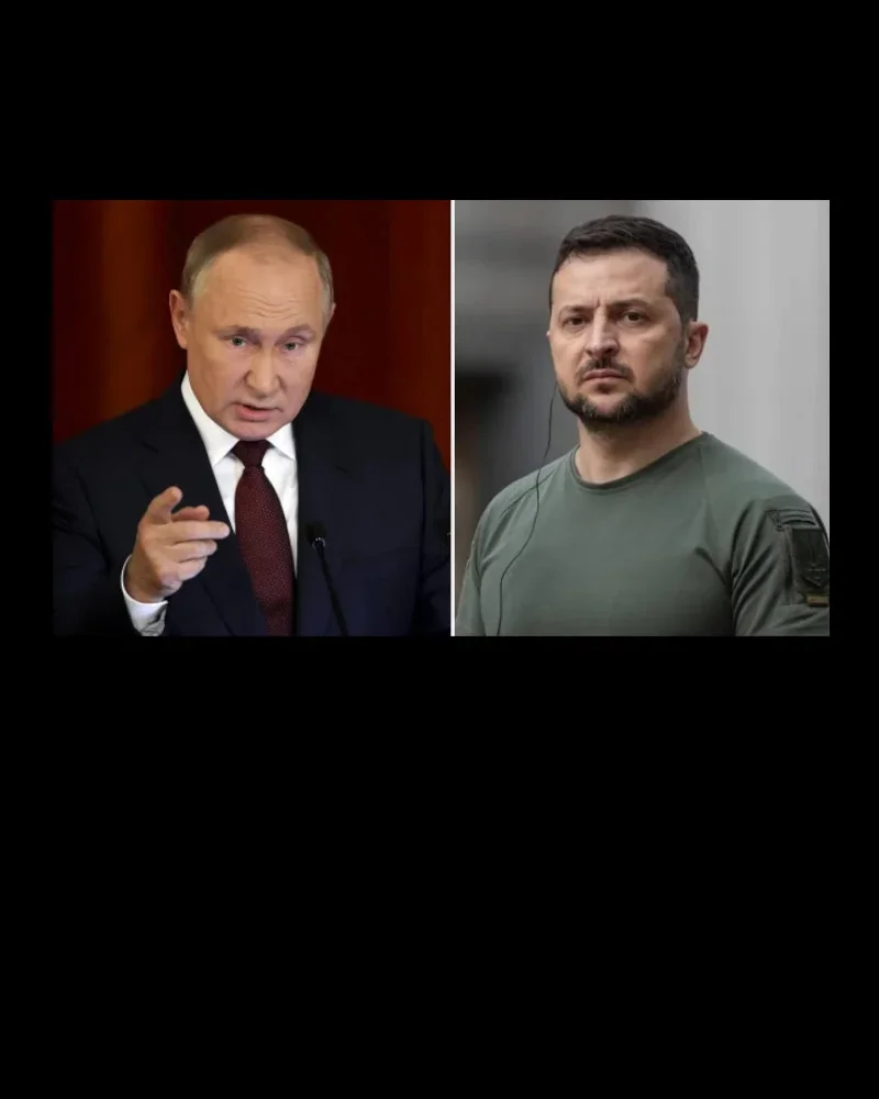 Putin’den Zelenskiy’nin turizmi etkileyecek açıklamasına yanıt: “Devlet terörü”