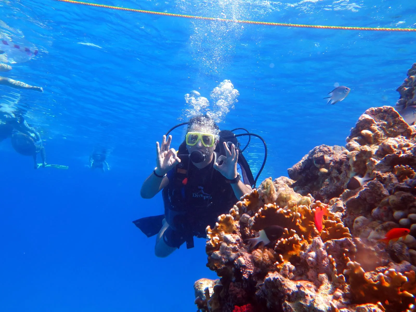 BookingAgora, Ajet ve Rixos Hotels, seyahat acentelerine Sharm El Sheikh’i tanıttı