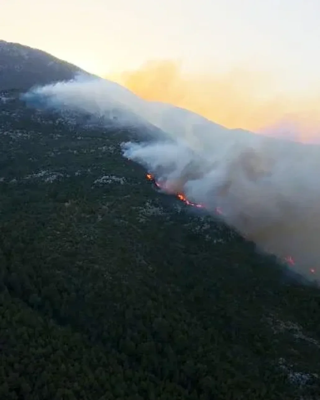 Antalya Kaş’ta orman yangını, müdahale sürüyor