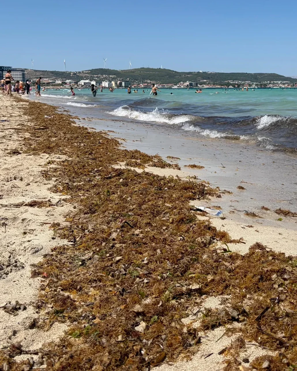 Çeşme sahillerindeki kirlilik tatilcilerin tepkisine neden oldu
