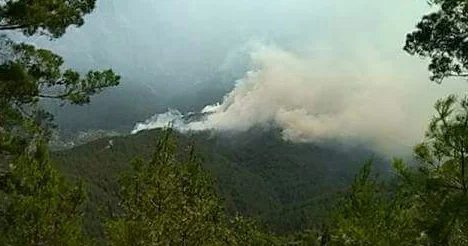 Alanya’da orman yangını